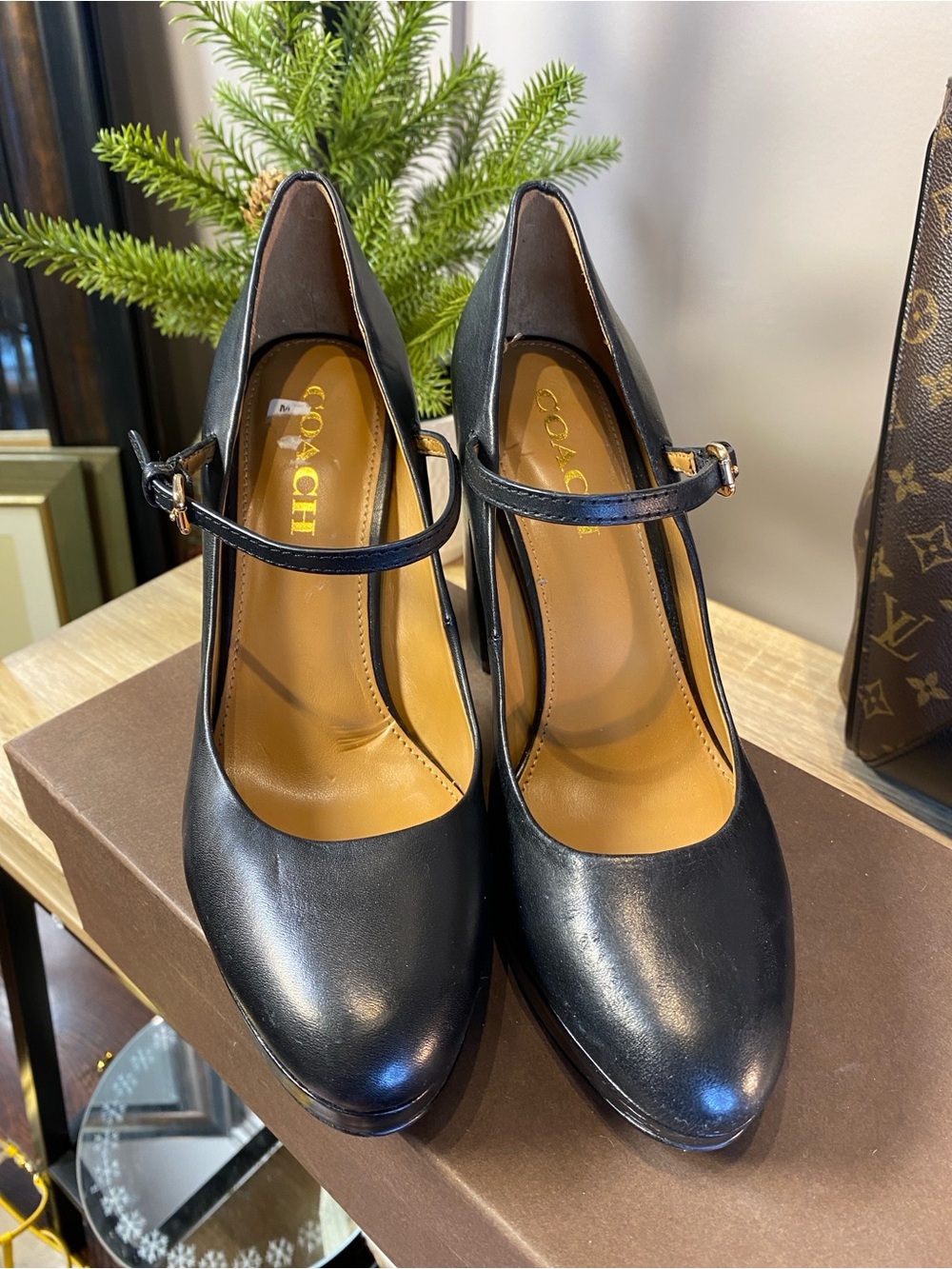 Women's Coach Black Leather Goldie Mary Jane
Platform Pumps 7.5 - Picture 3 of 13